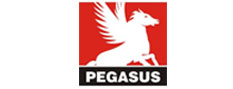 Pegasus